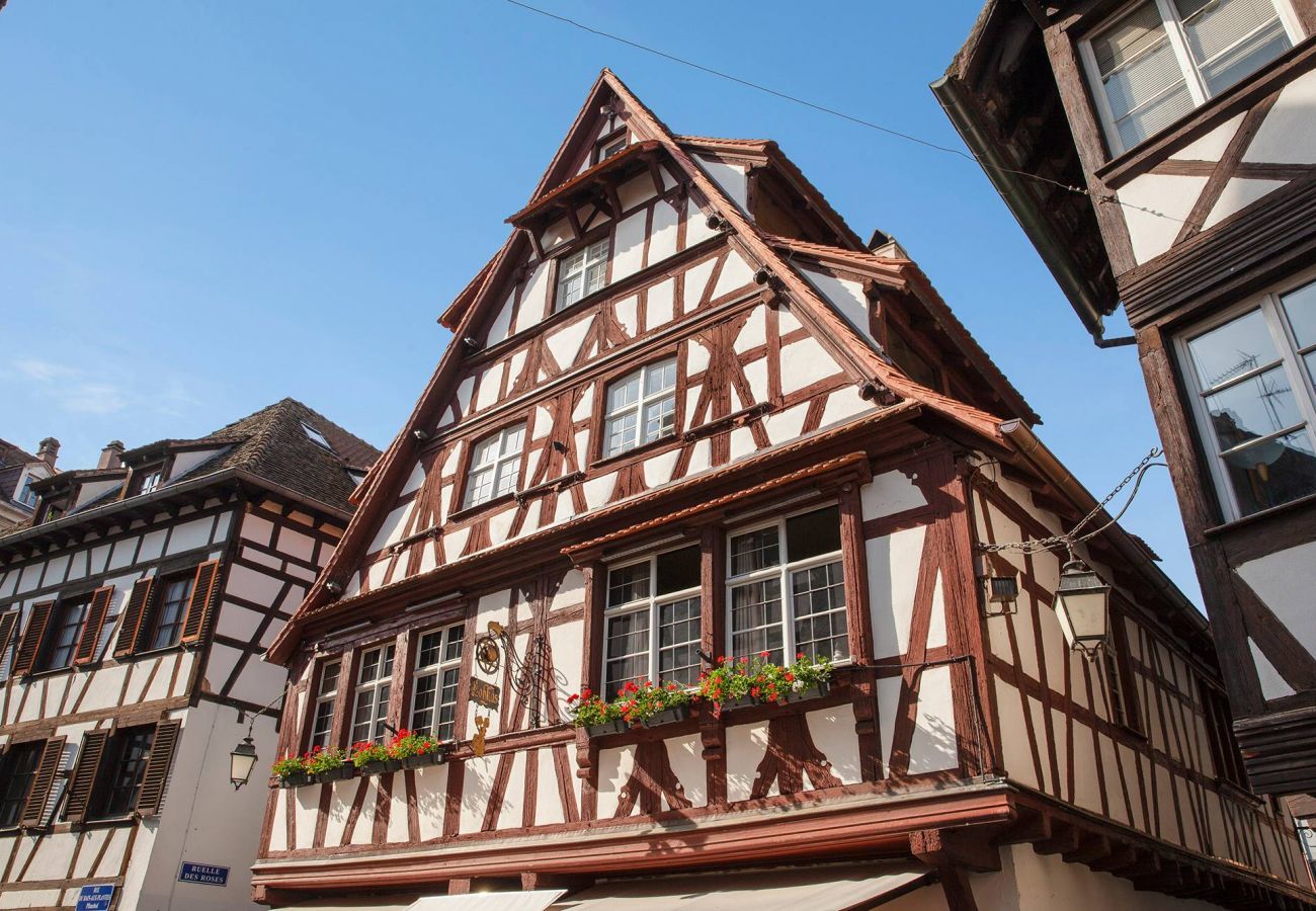 Appartement à Strasbourg - lohkas triplex loft  petite france 2br 2bth