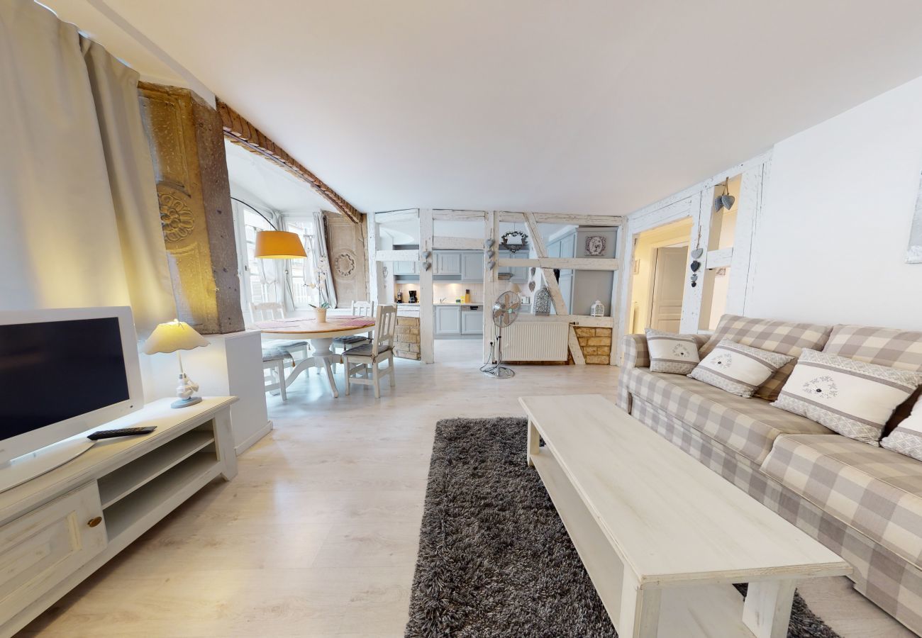 Appartement à Strasbourg - la suite du bouchon city center apartment up  to 4