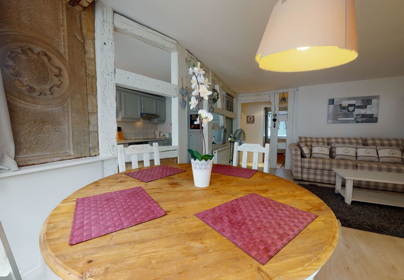 Appartement à Strasbourg - la suite du bouchon city center apartment up  to 4