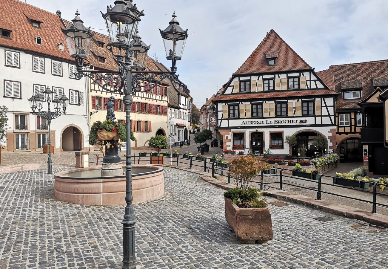 Appartement à Barr - Zum Storike Nescht