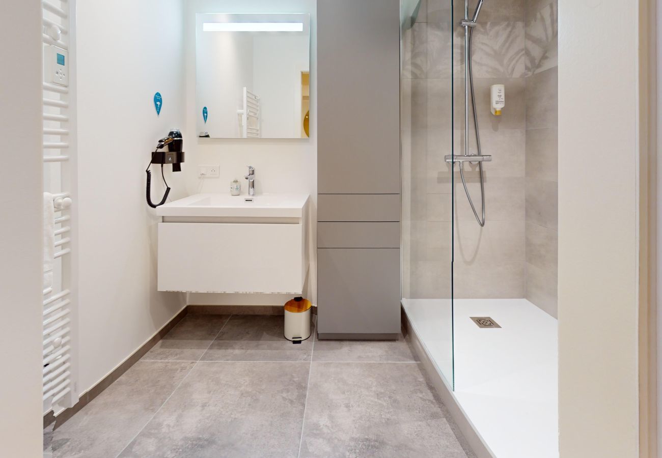 Appartement à Strasbourg - Le Pignon 2ch 2 sdb