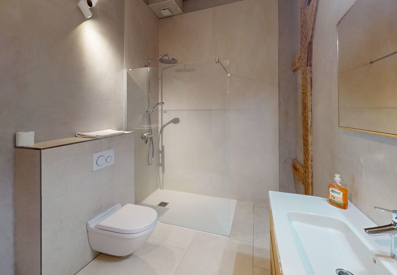 Appartement à Andlau - Jardin de l'Abbaye demeure de charme 4adults 2kids