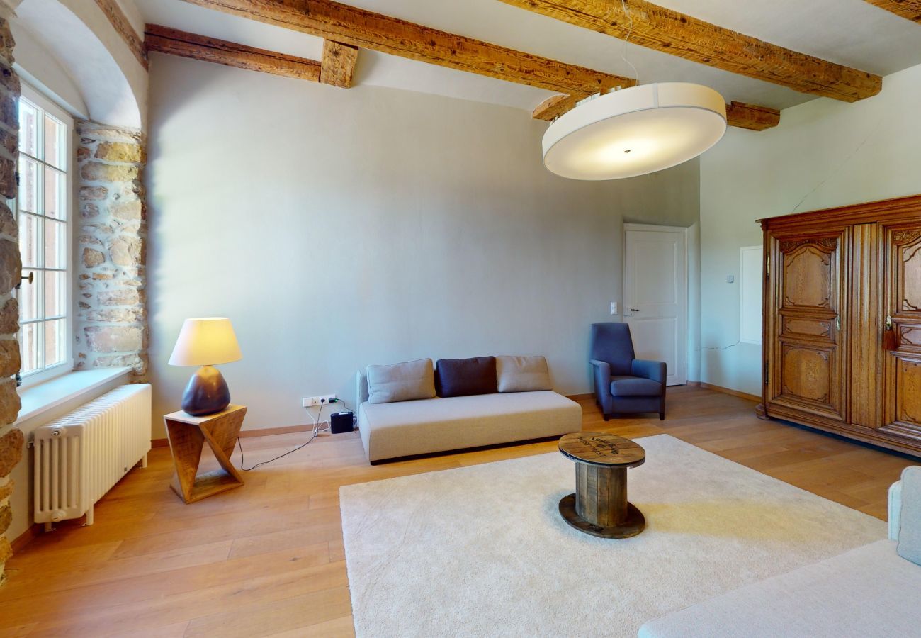 Appartement à Andlau - Jardin de l'Abbaye demeure de charme 4adults 2kids