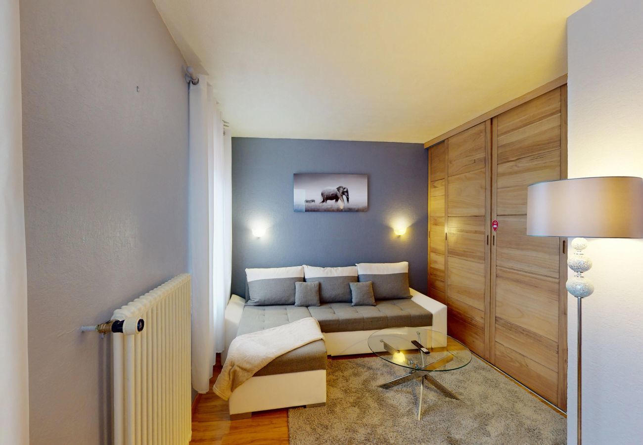 Appartement à St-Hippolyte - Au pied du Haut Koenigsbourg 1