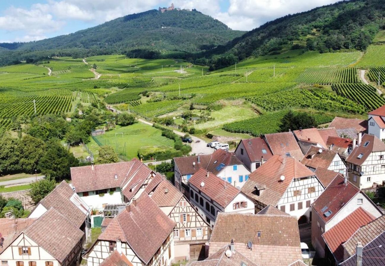 Appartement à St-Hippolyte - Au pied du haut Koenigsbourg 2