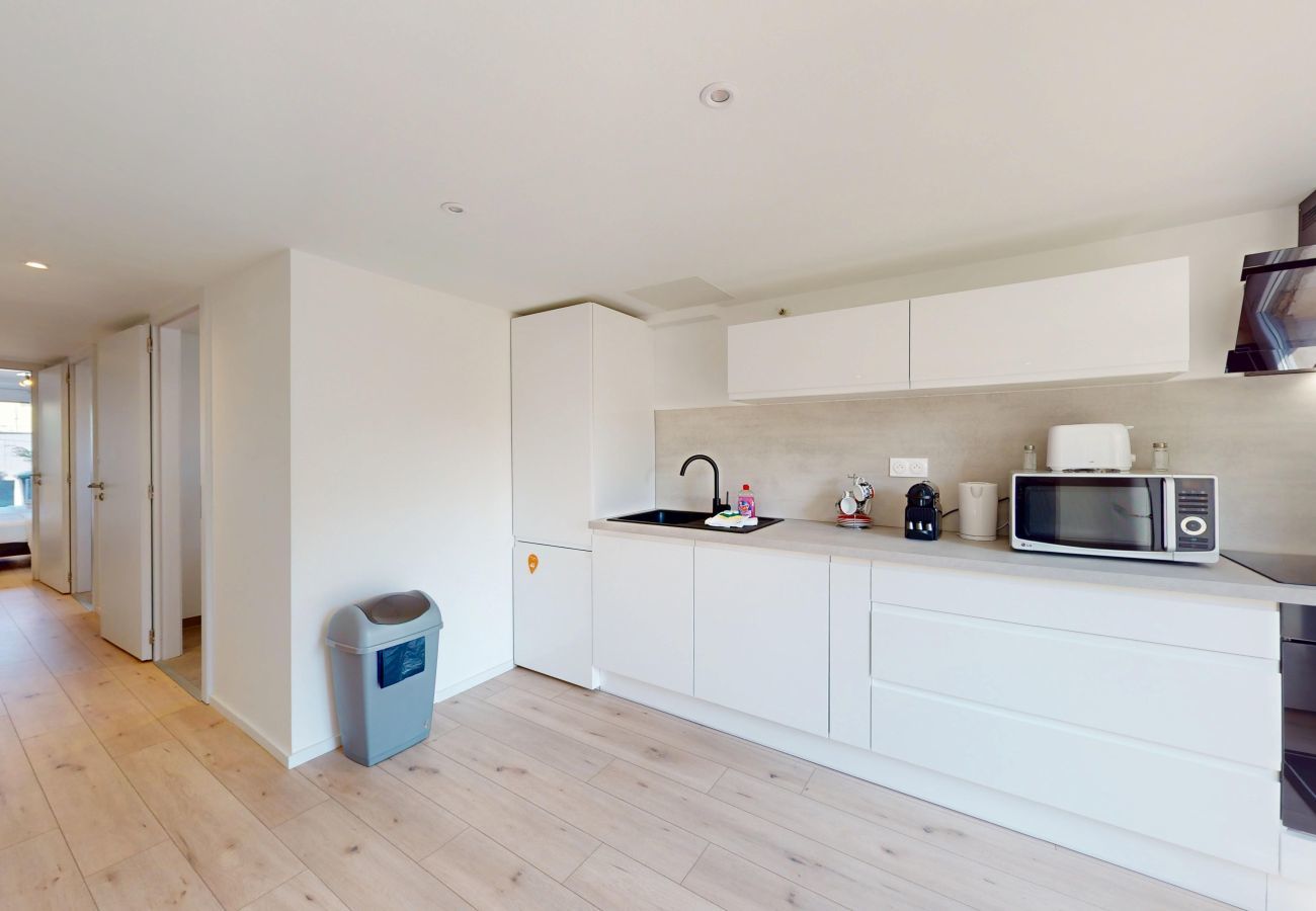 Appartement à Colmar - Nid de la Luss avec parking