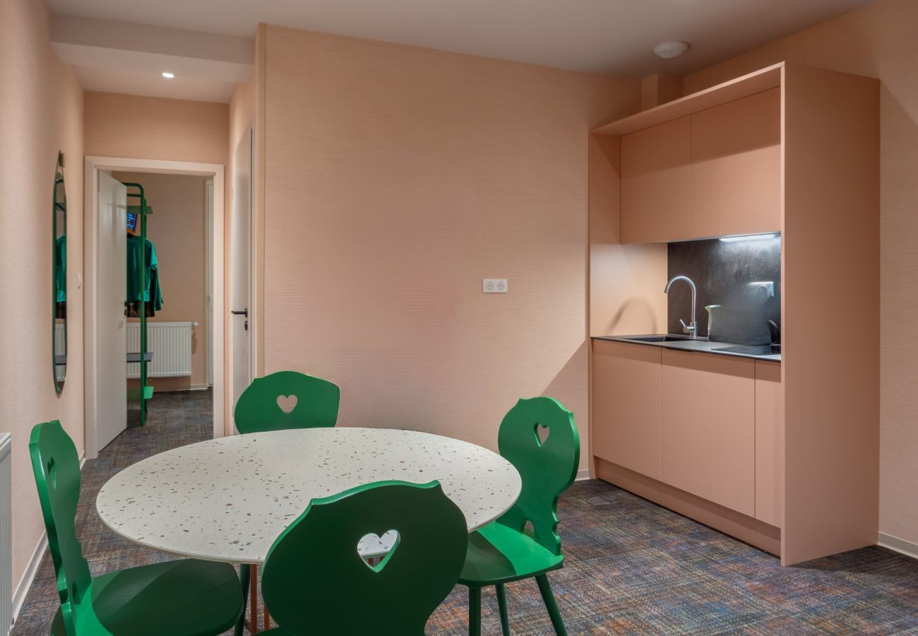 Appartement à Colmar - L'Amiral appartement 1 chambre