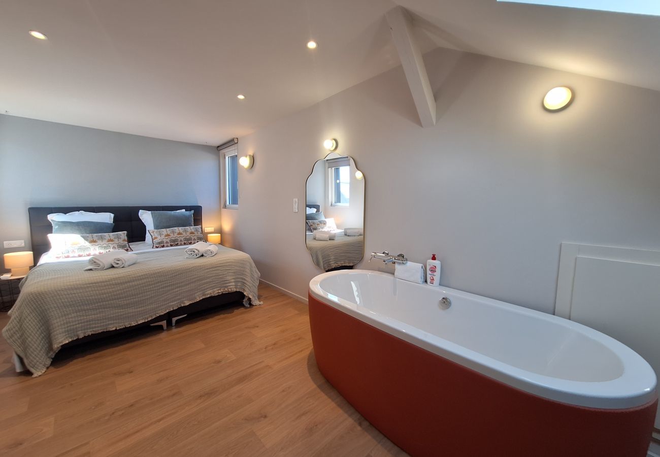 Appartement à Colmar - L'Amiral appartement 1 chambre