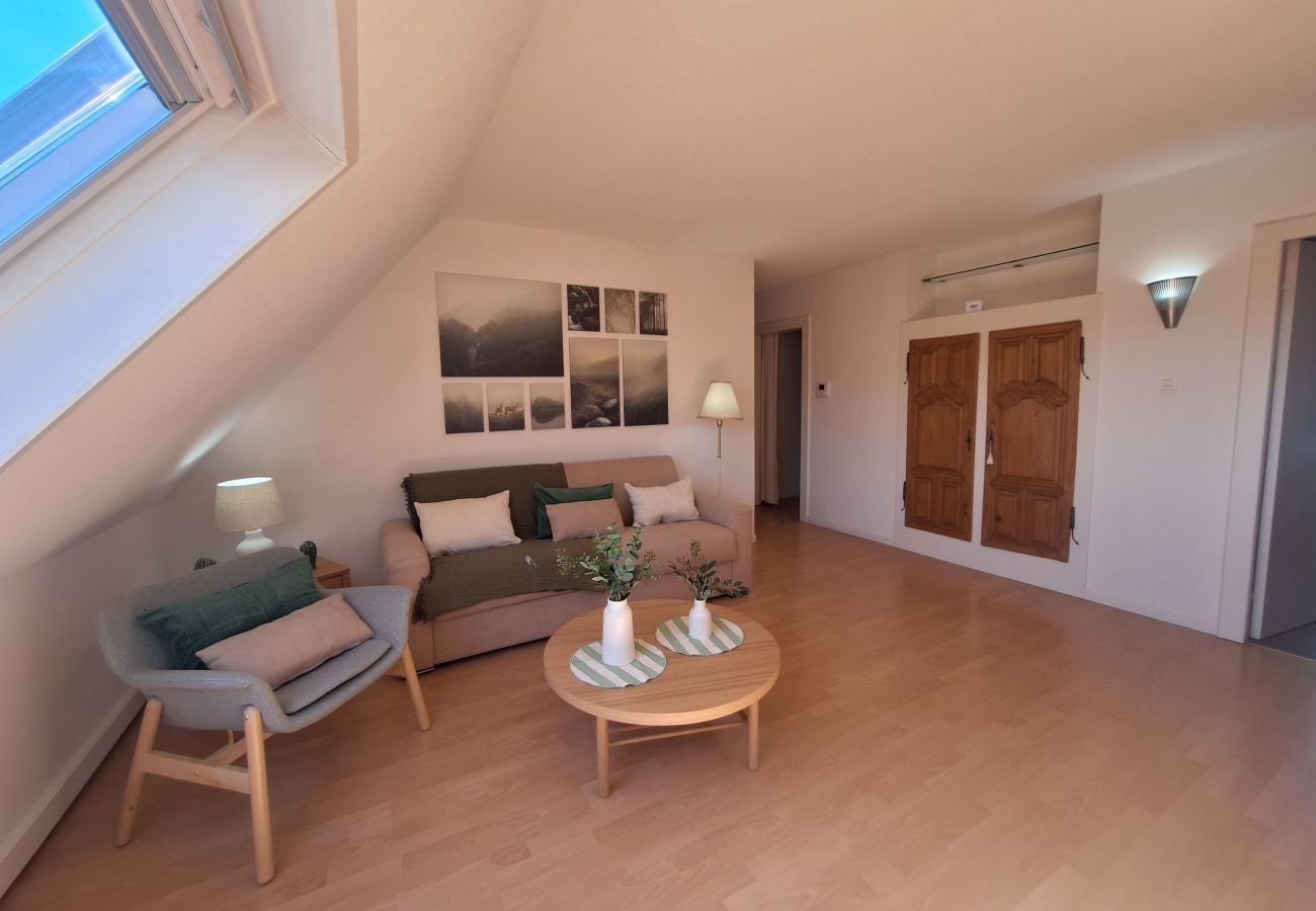Appartement à Colmar - L'émeraude 360 avec parking