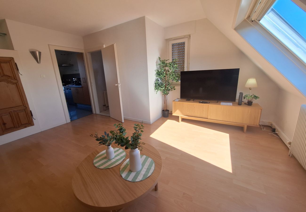 Appartement à Colmar - L'émeraude 360 avec parking
