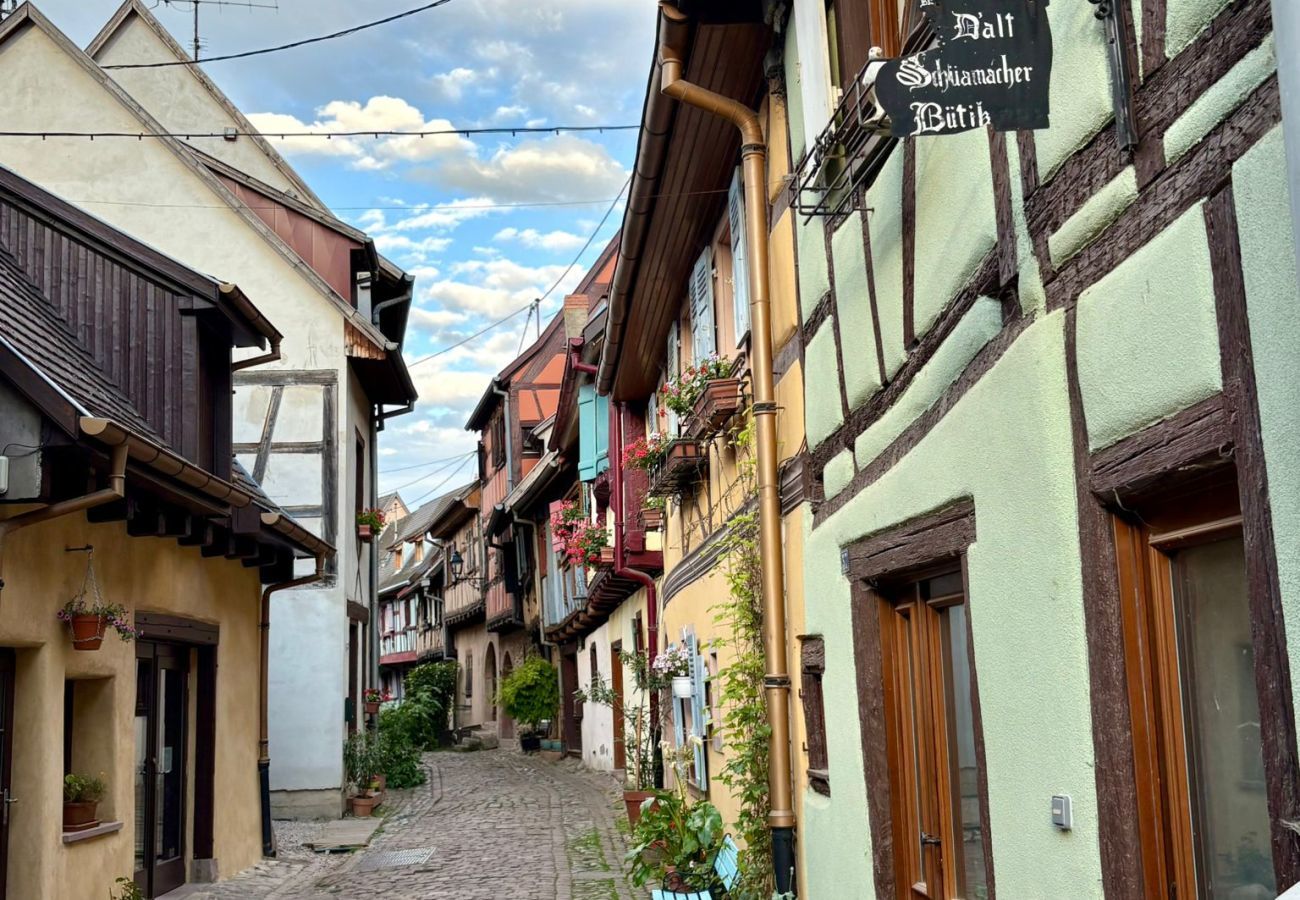 Appartement à Eguisheim - Le petit Schatz d'Eguisheim