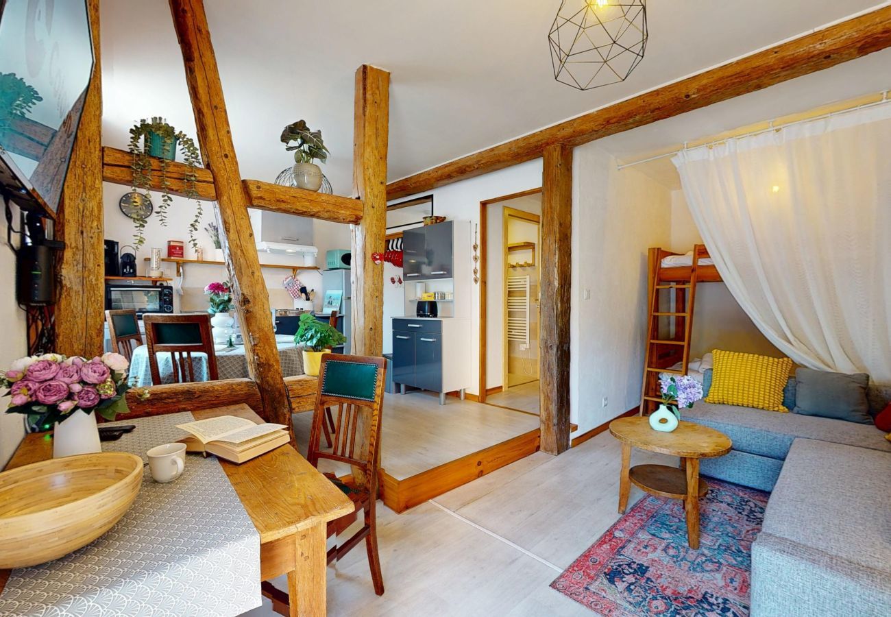 Appartement à Eguisheim - Le petit Schatz d'Eguisheim