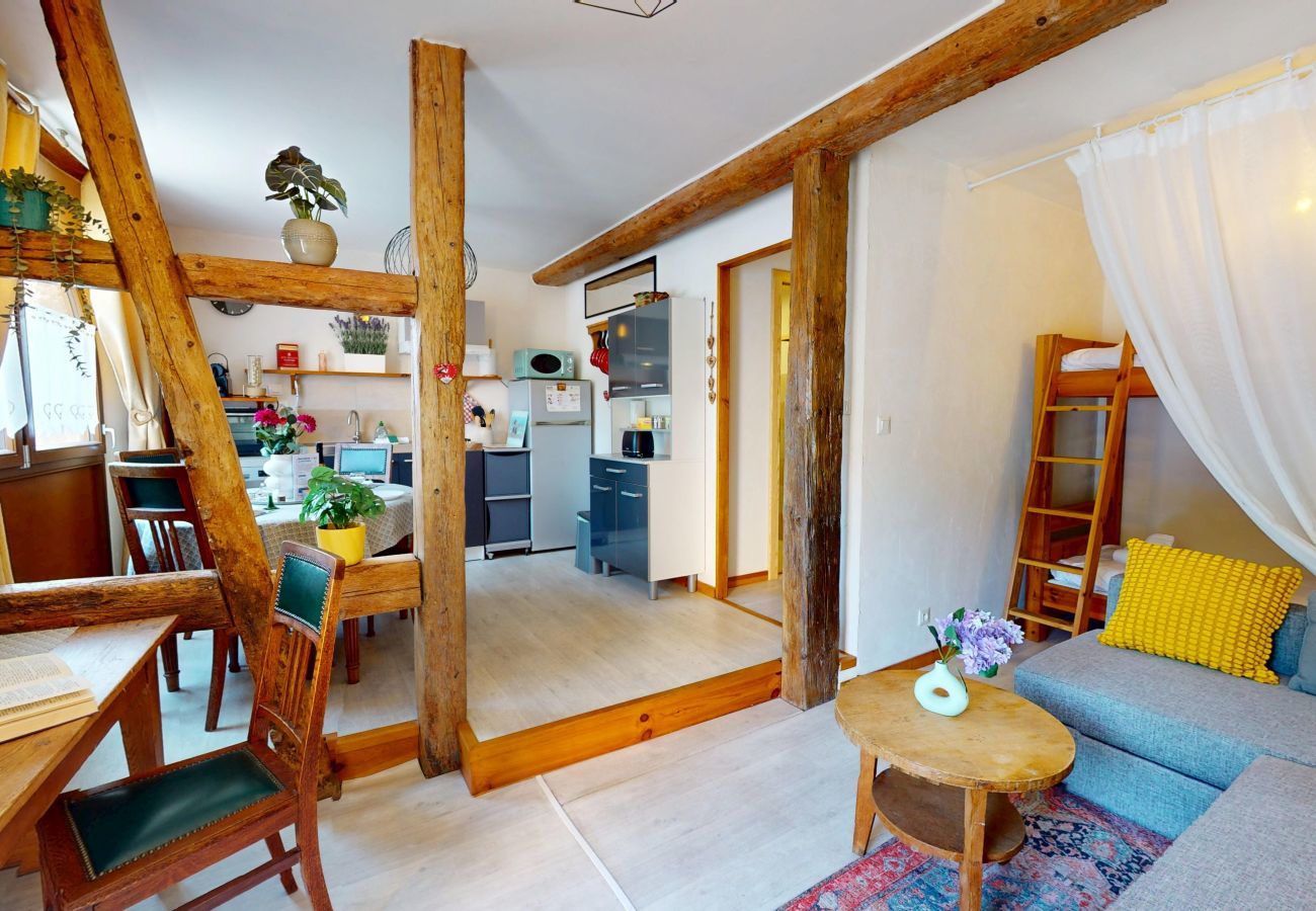 Appartement à Eguisheim - Le petit Schatz d'Eguisheim