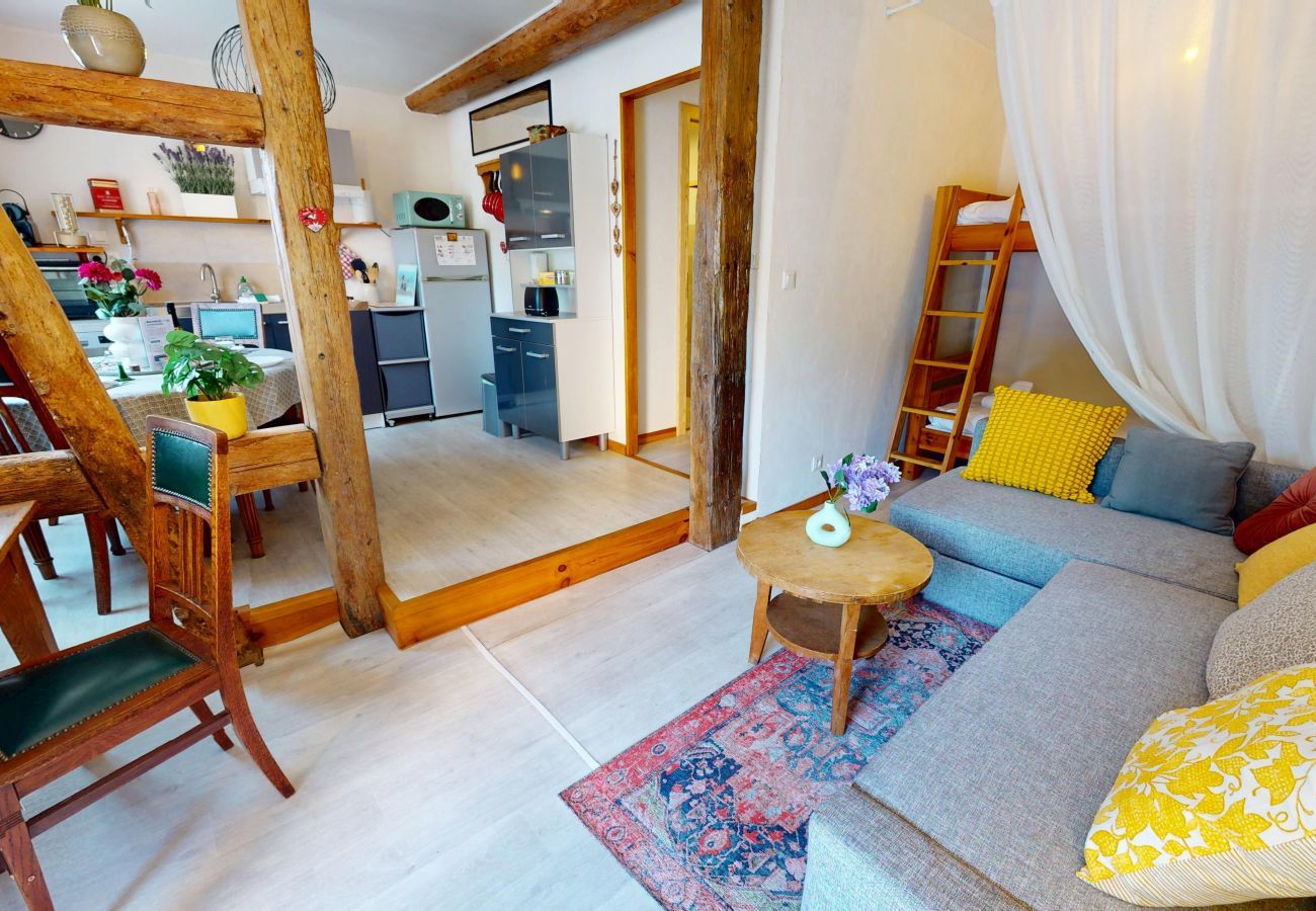 Appartement à Eguisheim - Le petit Schatz d'Eguisheim