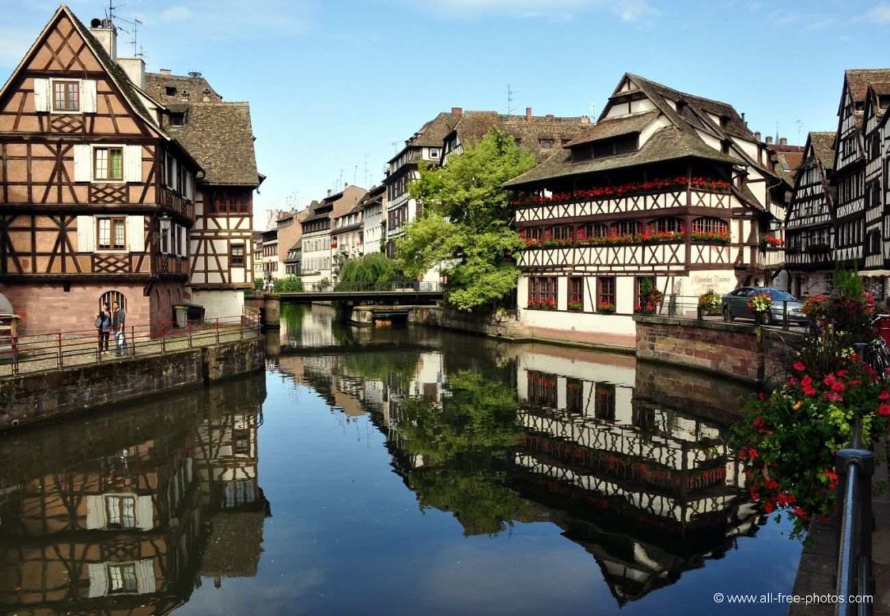 Appartement à Strasbourg - Le Brasilia