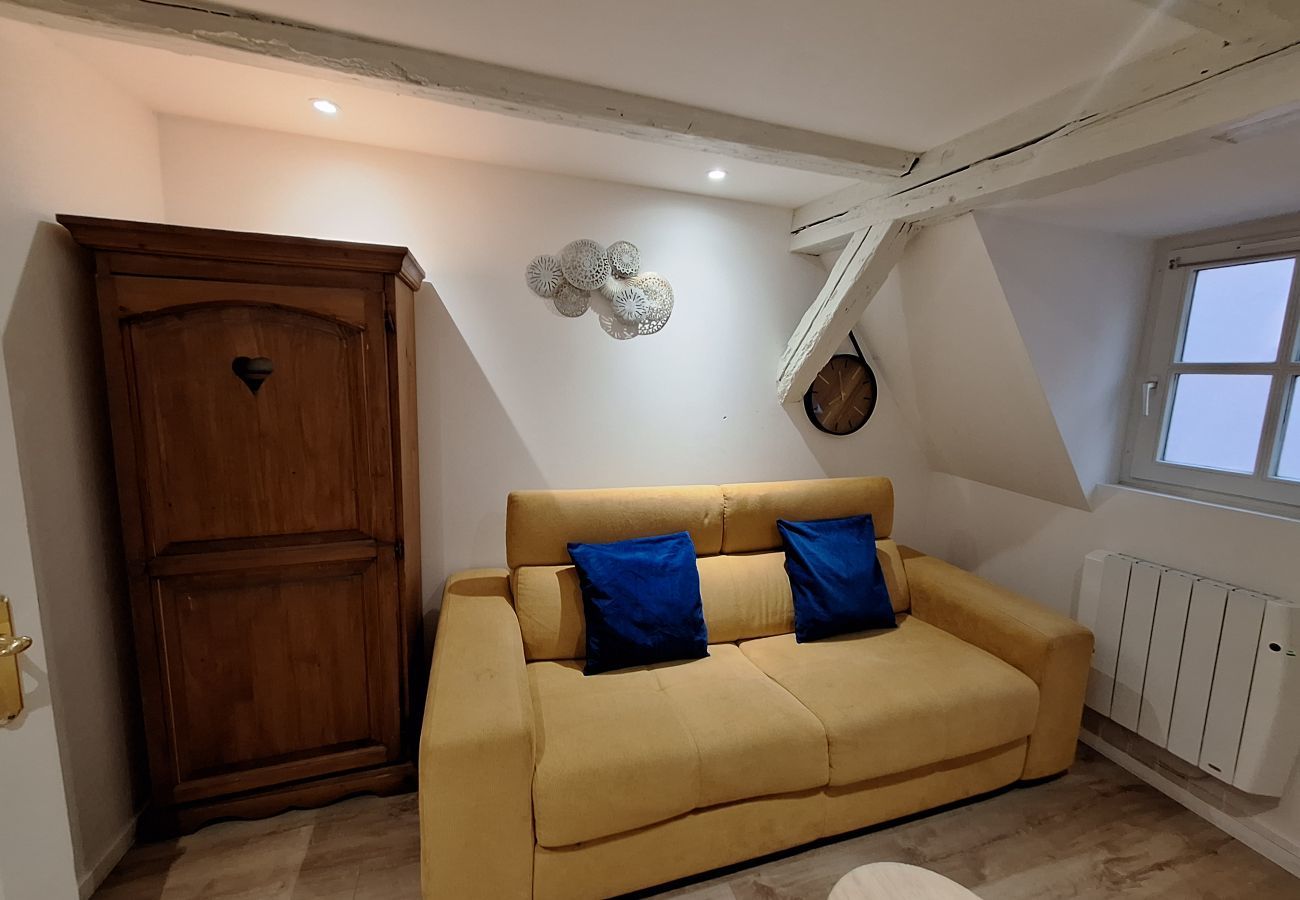 Appartement à Colmar - Koifhus 3
