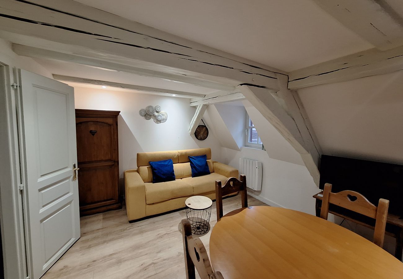 Appartement à Colmar - Koifhus 3