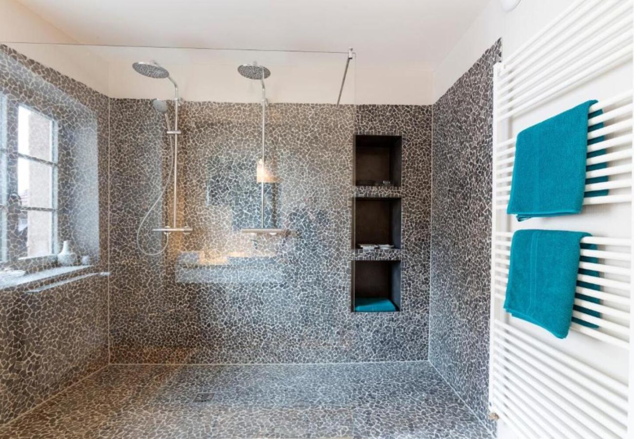 Appartement à Colmar - Saint Nicolas 3