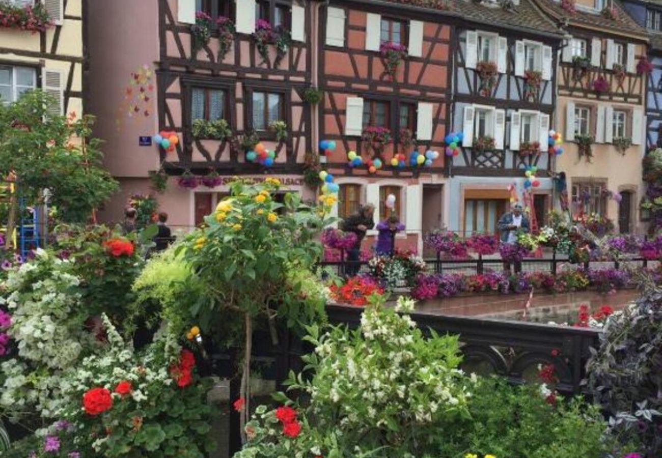 Appartement à Colmar - Home Petite Venise 3