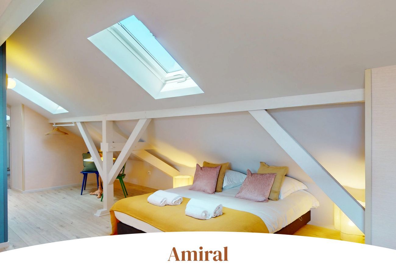 Appartement à Colmar - Le Kleber (5 chambres)