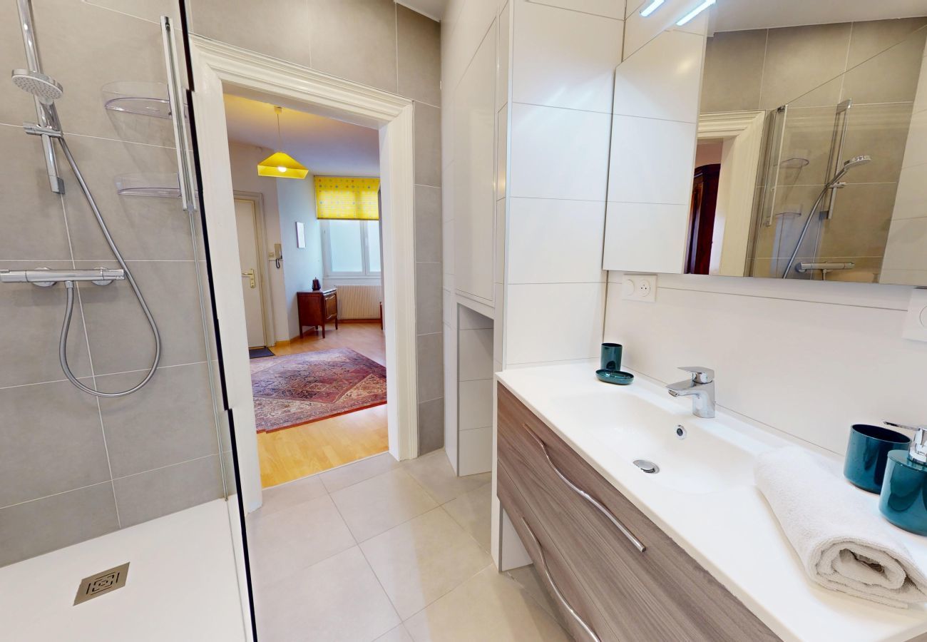Appartement à Colmar - Au Buisson De Roses - confort et charme au centre 