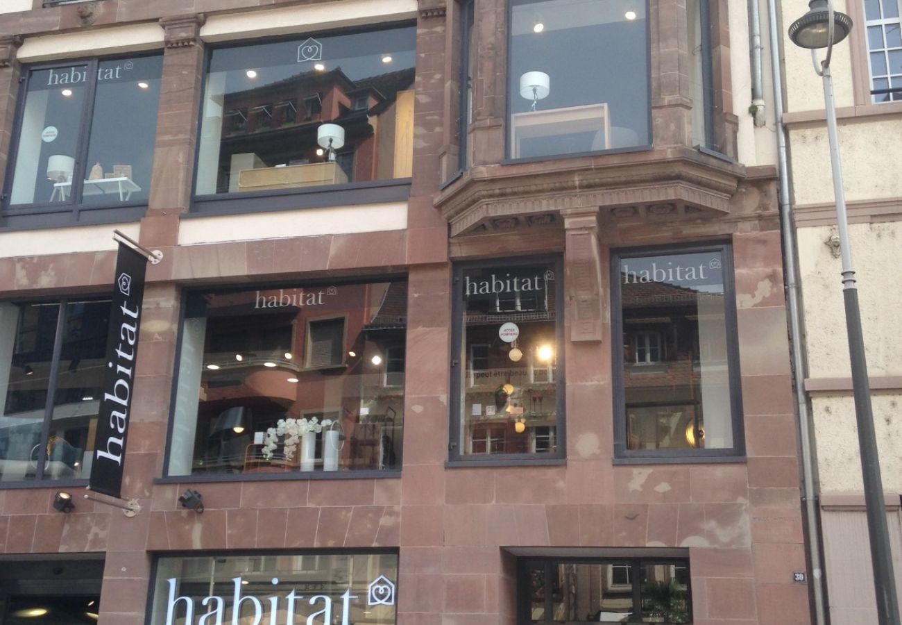 Appartement à Strasbourg - MONTANA bail mobilité (1 à 10 mois) Appartement à Strasbourg - MONTANA bail mobilité (1 à 10 mois)