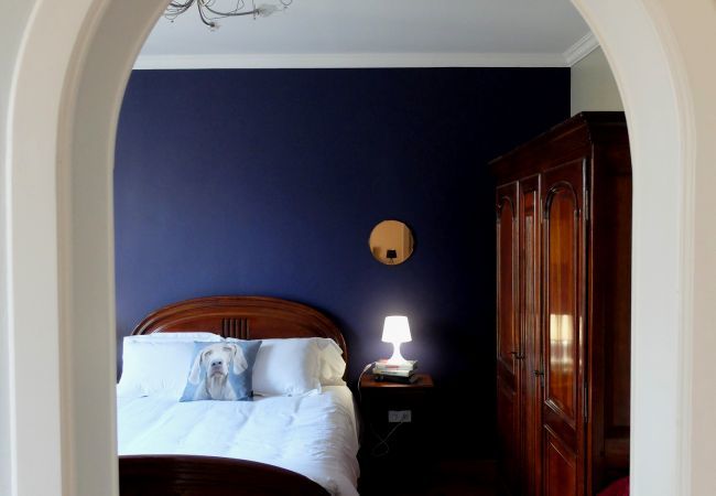 公寓 在 Colmar - chez thomas 72m2 colmar 2br 公寓 在 Colmar - chez thomas 72m2 colmar 2br