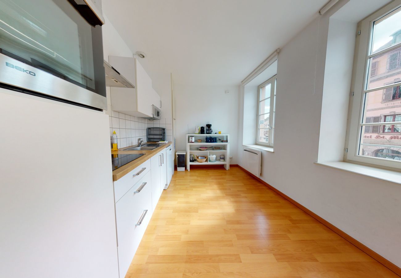公寓 在 Colmar - berglas 85m2 city center     3br