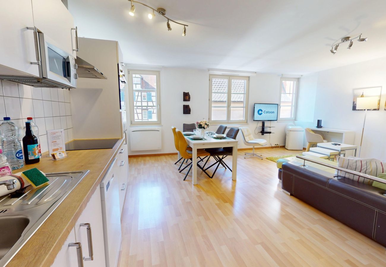 公寓 在 Colmar - dollfus 80m2 city center 2br