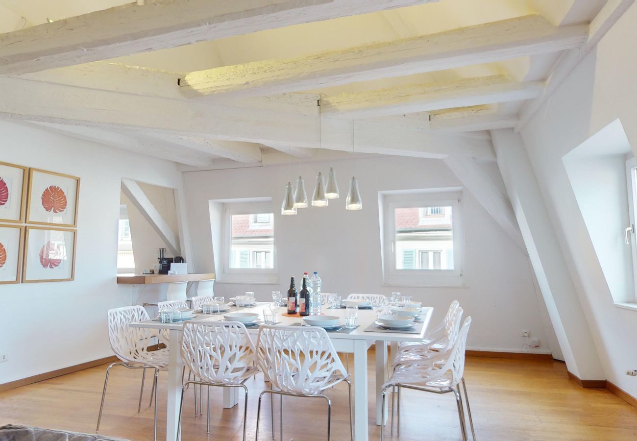 公寓 在 Colmar - dreyfus duplex city center ac 3br 2bth 165m2
