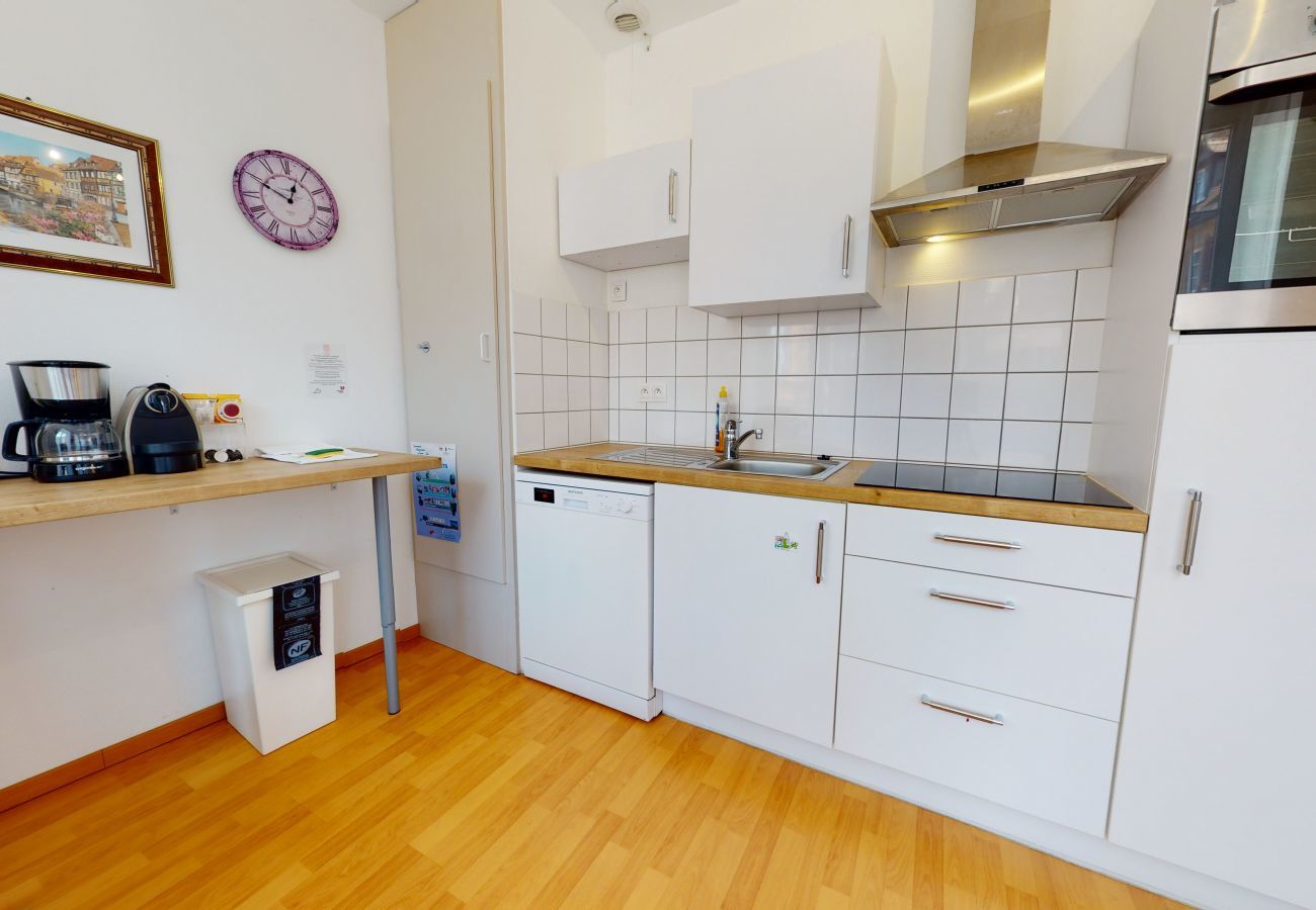 公寓 在 Colmar - kiener 75m2 city center      3br