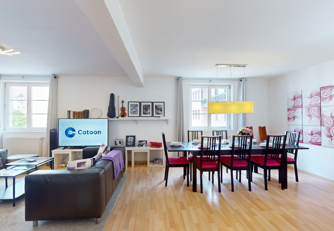 公寓 在 Colmar - schlumberger 120m2 city center 3br 2bth