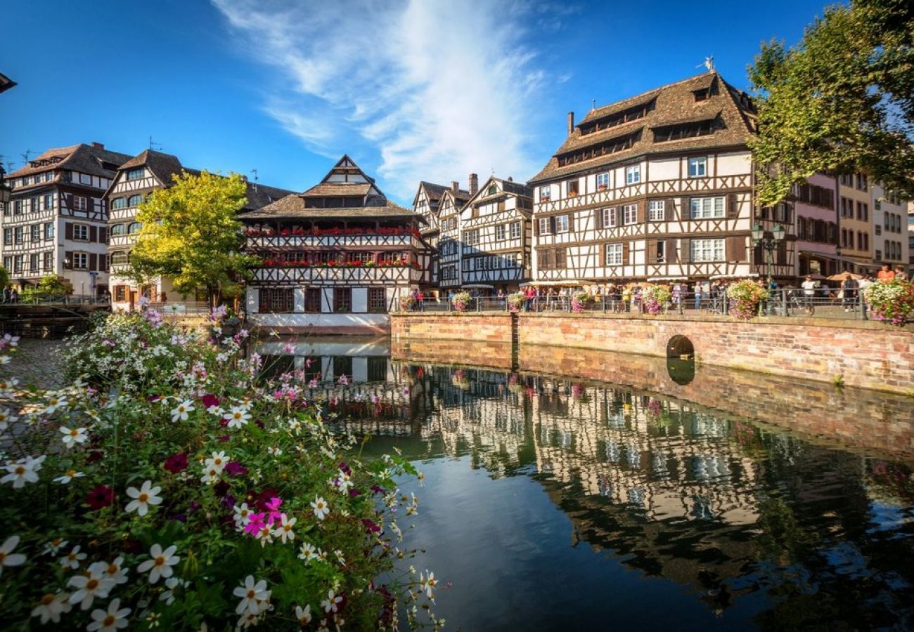 公寓 在 Strasbourg - opera cathedrale city center up to 3