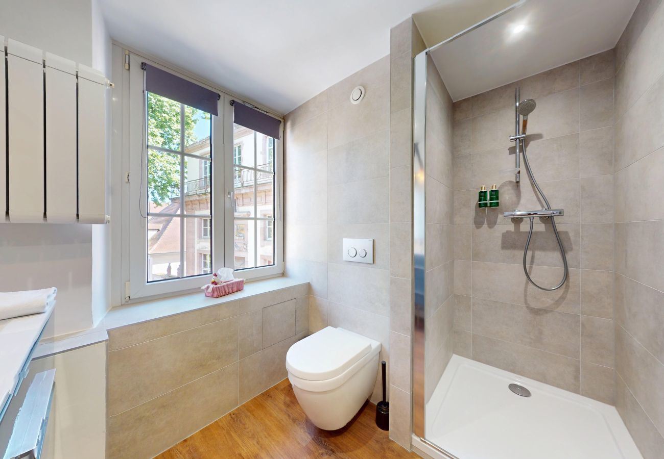 工作室 在 Colmar - l appartement turenne with access to lounge