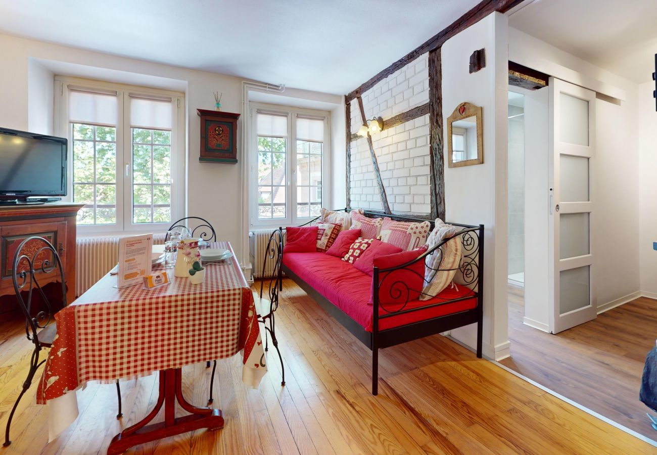 工作室 在 Colmar - l appartement turenne with access to lounge