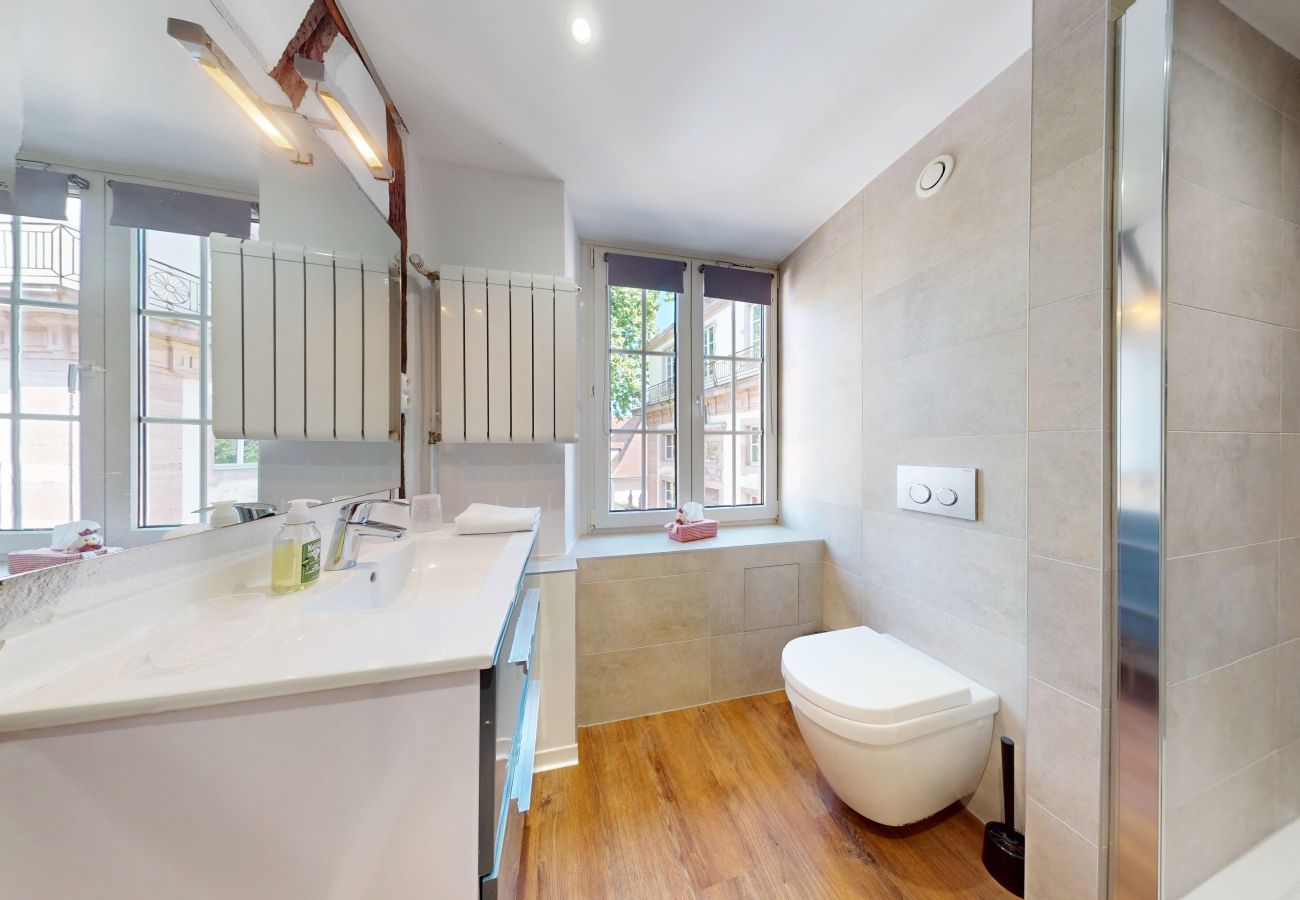 工作室 在 Colmar - l appartement turenne with access to lounge