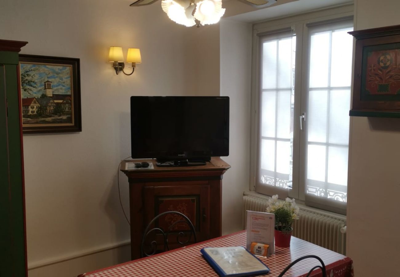 工作室 在 Colmar - l appartement turenne with access to lounge