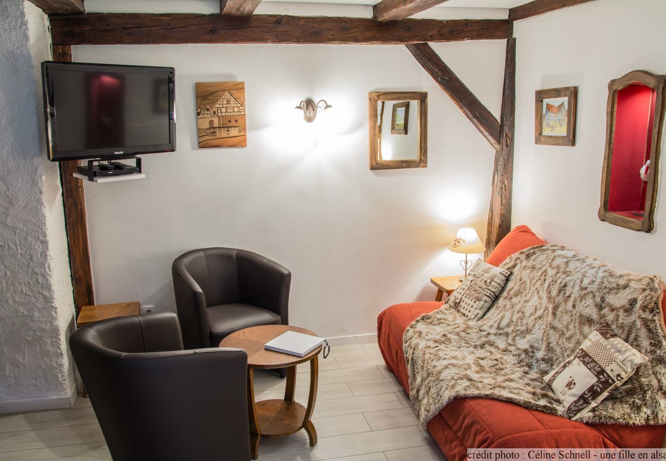 公寓 在 Colmar - le repere des cigognes with access to lounge