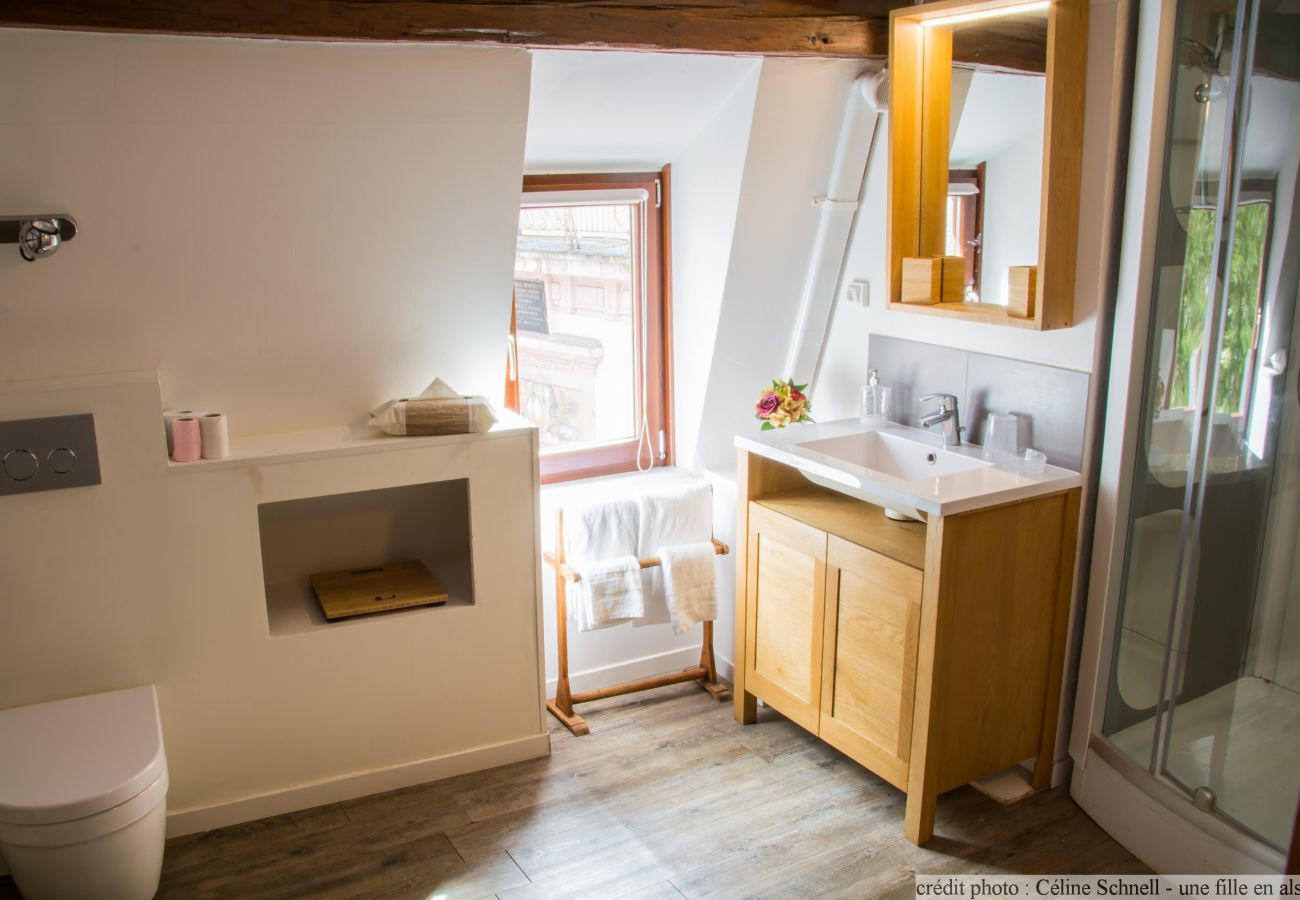 公寓 在 Colmar - le repere des cigognes with access to lounge