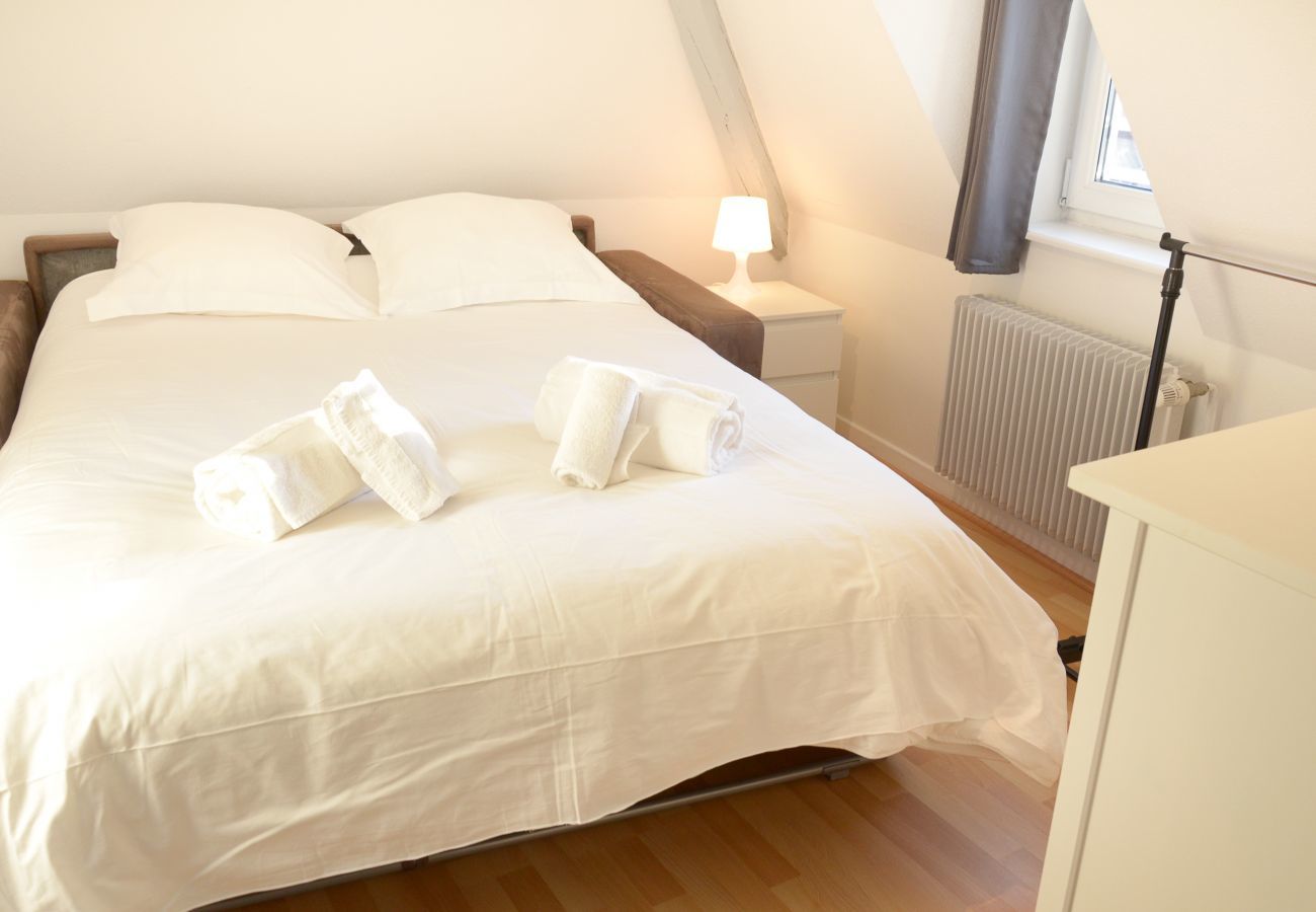 公寓 在 Strasbourg - montana 3 chambres mini 30 nights    3br