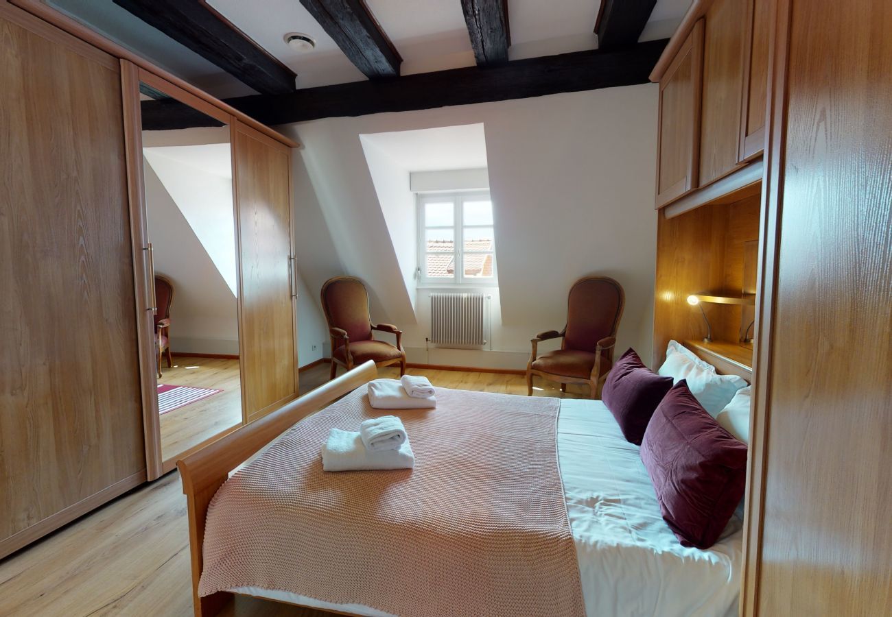 公寓 在 Colmar - le saphir 1 free parking city center 3br 2bt