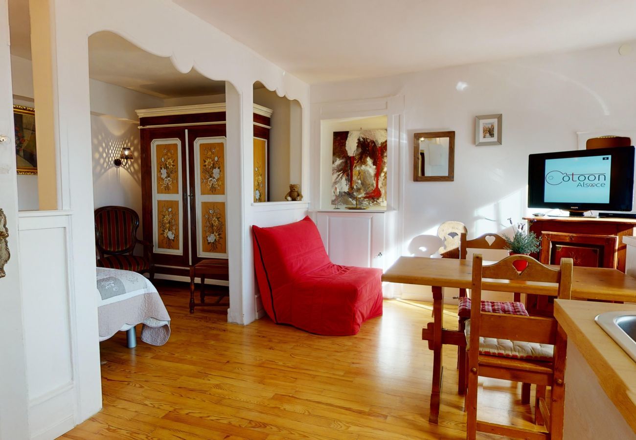 房屋 在 Colmar - maison le clos bartholdi 4br 4bth + lounge