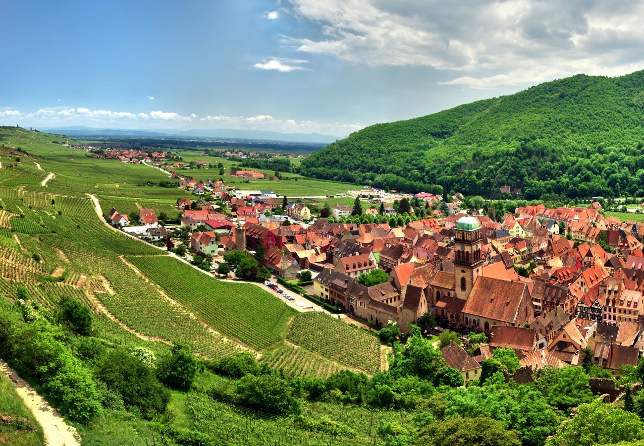 房屋 在 Hunawihr - fougere avec jacuzzi le clos des vignes