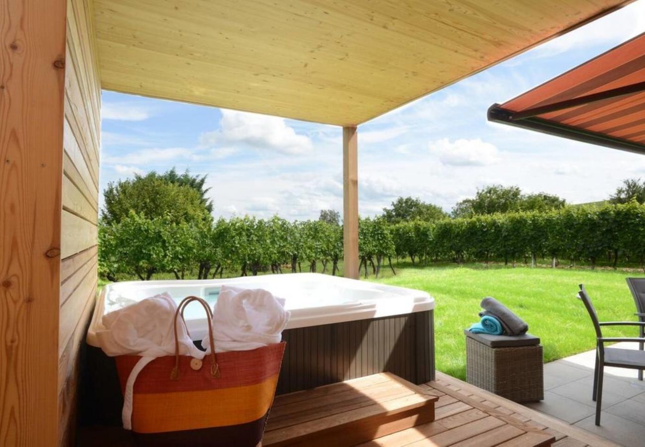 房屋 在 Hunawihr - fougere avec jacuzzi le clos des vignes