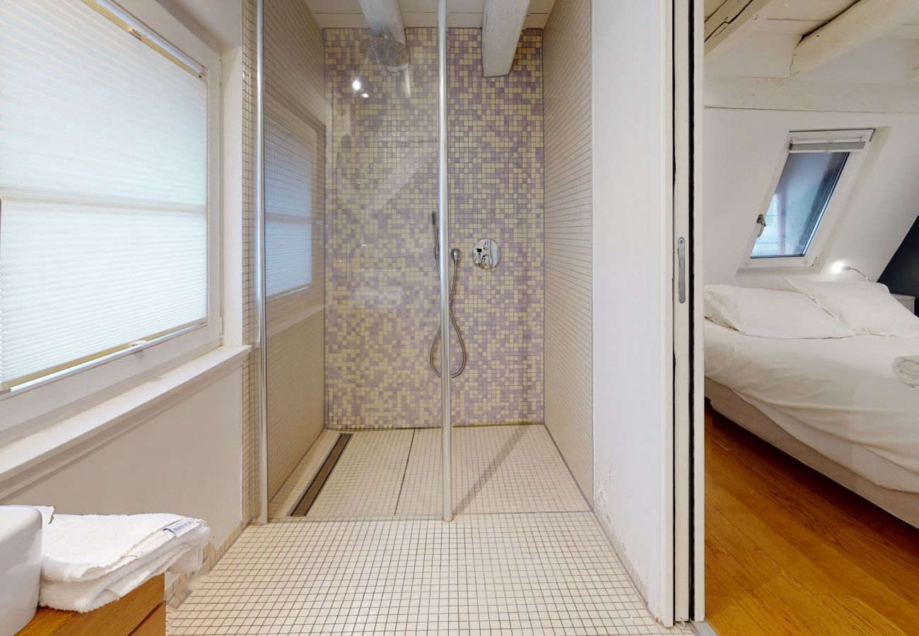 公寓 在 Strasbourg - lohkas triplex loft  petite france 2br 2bth
