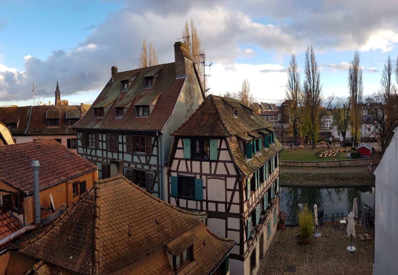 公寓 在 Strasbourg - le nid de l ill magnifique duplex cosy petite fran