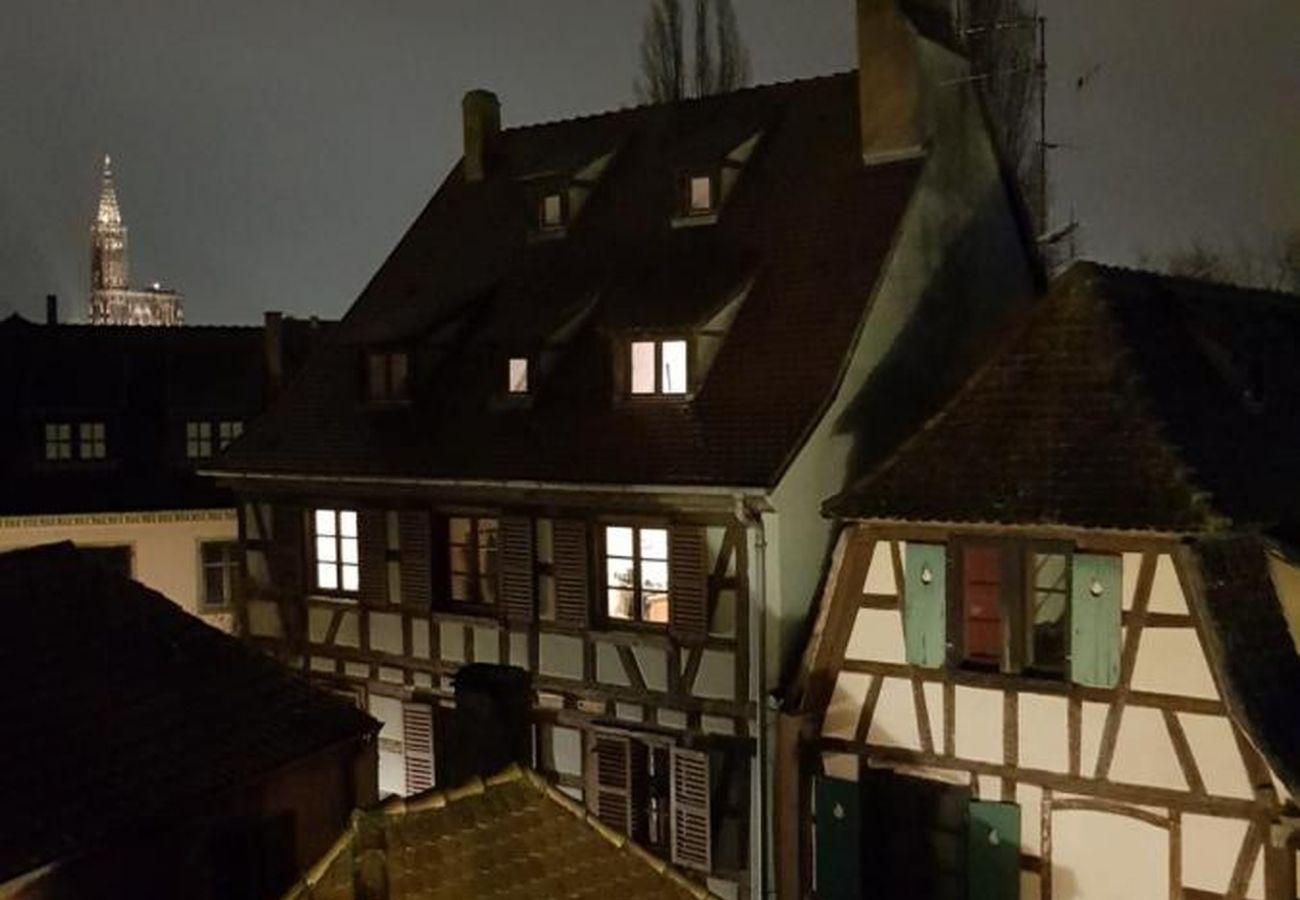 公寓 在 Strasbourg - le nid de l ill magnifique duplex cosy petite fran