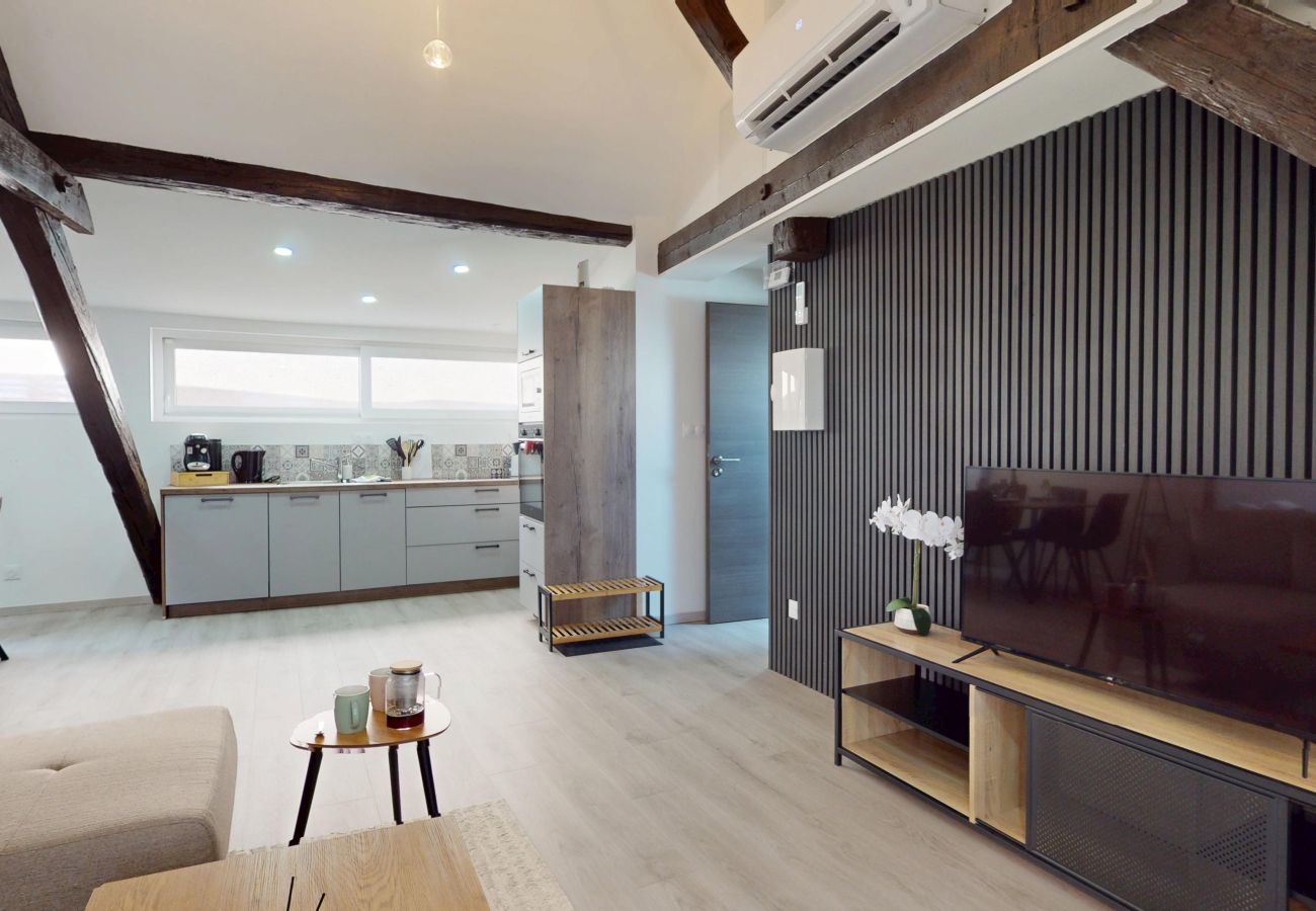 公寓 在 Colmar - Le Big Bag 5 chambres appartement familial