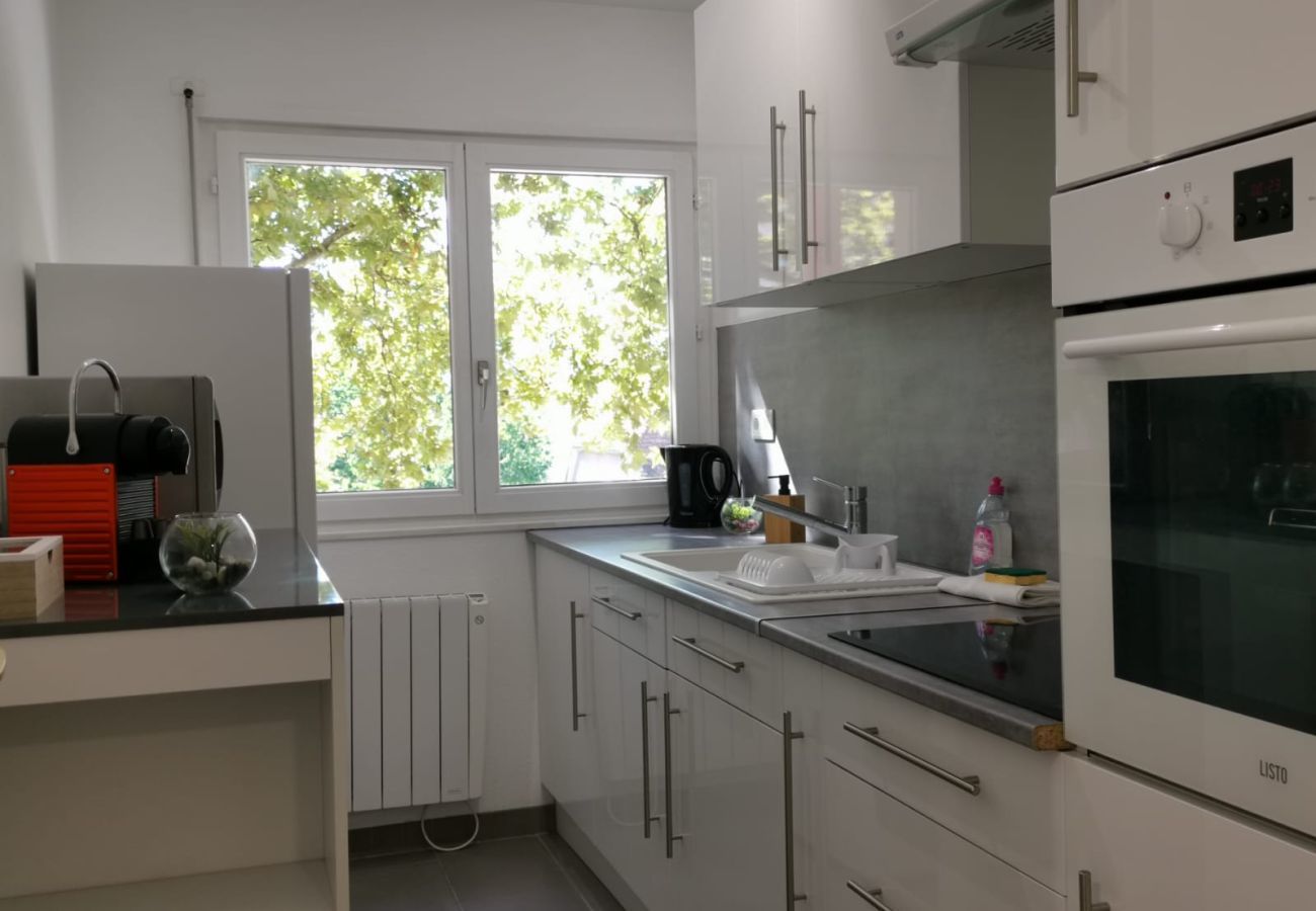 公寓 在 Colmar - Edenhome + 1 parking