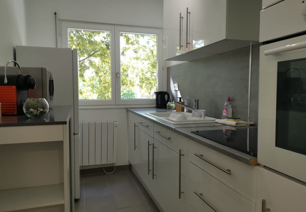 公寓 在 Colmar - Edenhome + 1 parking